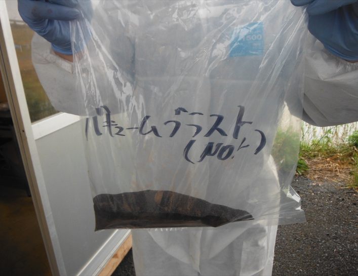 溶出試験データ