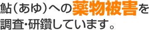 鮎（あゆ）への薬物被害を調査・研鑽しています。